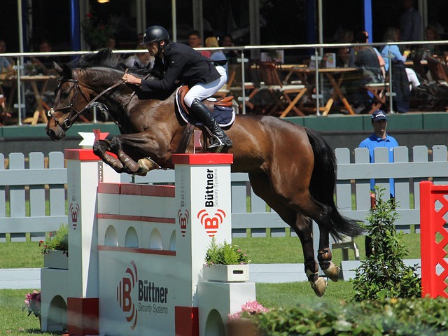 了宝贵的学 了宝贵的学