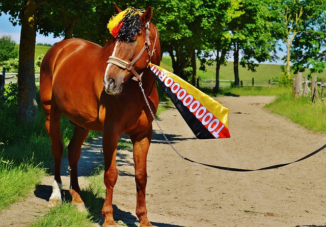 乎没有还手 乎没有还手