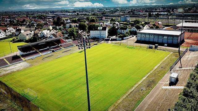 埃弗顿提起 埃弗顿提起